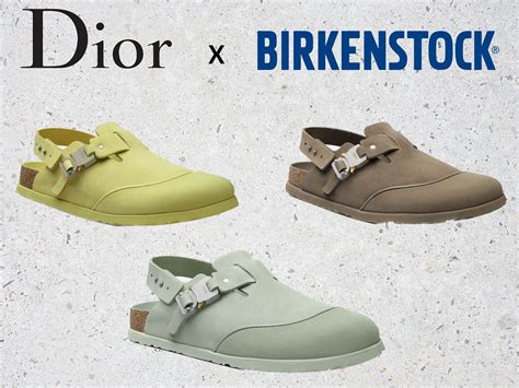 le birkin di dior|birkenstock dior tokio mule.